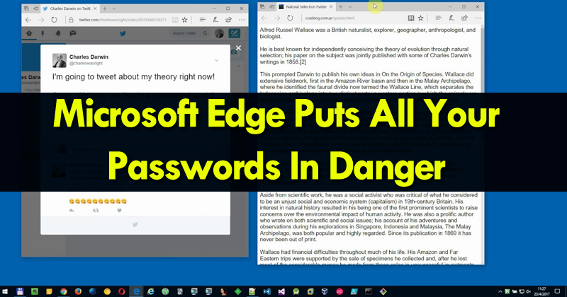 Advertencia Microsoft Edge pone en peligro todas sus contraseñas