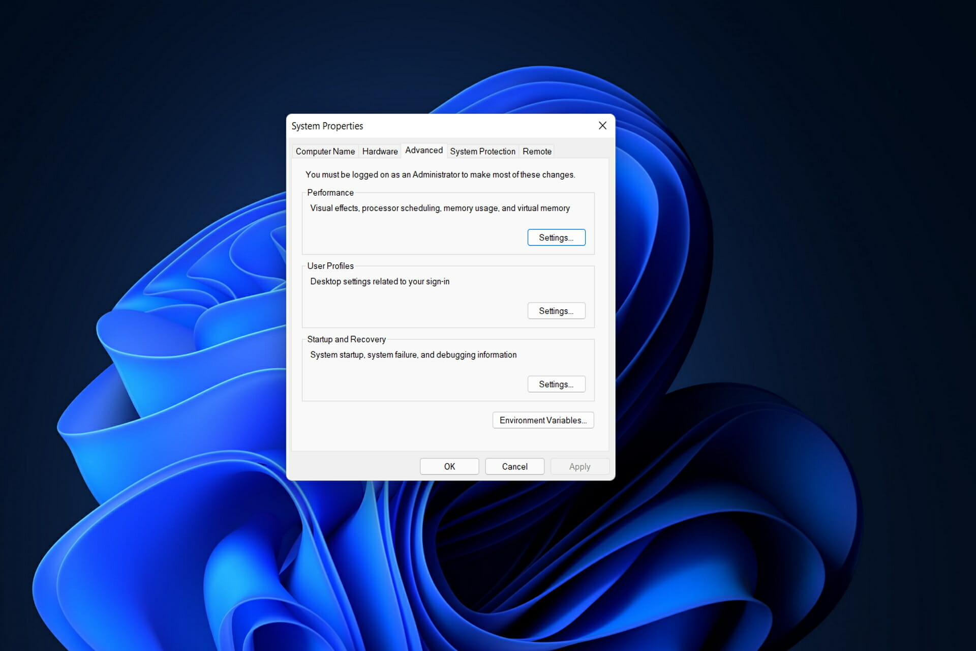 Windows 11 windows 11