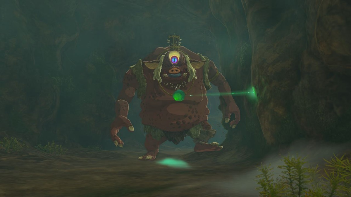 Zelda Tears of the Kingdom Hinox Locations Map Guide