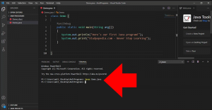 Cara Menjalankan Kode di Terminal dalam VS Code