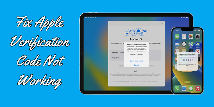 Cómo arreglar el código de verificación de ID de Apple no funciona/enviando/aparecer