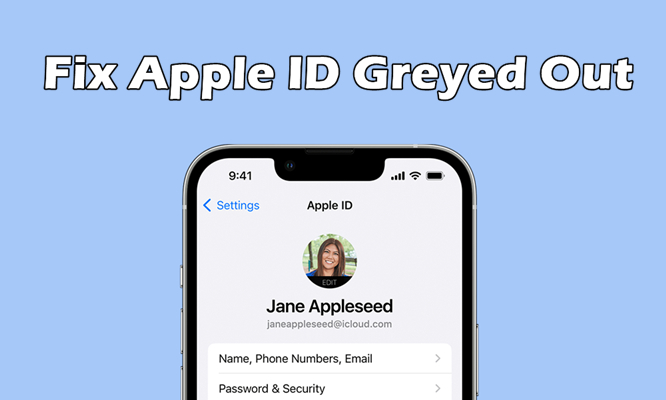 Cómo solucionar Apple ID Greyed en iPhone [100% trabajo]