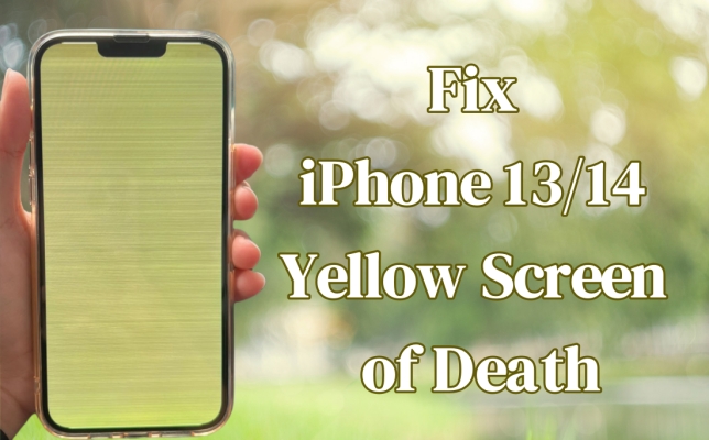 Cómo arreglar el iPhone 13/14/15/16 Pantalla amarilla de la muerte