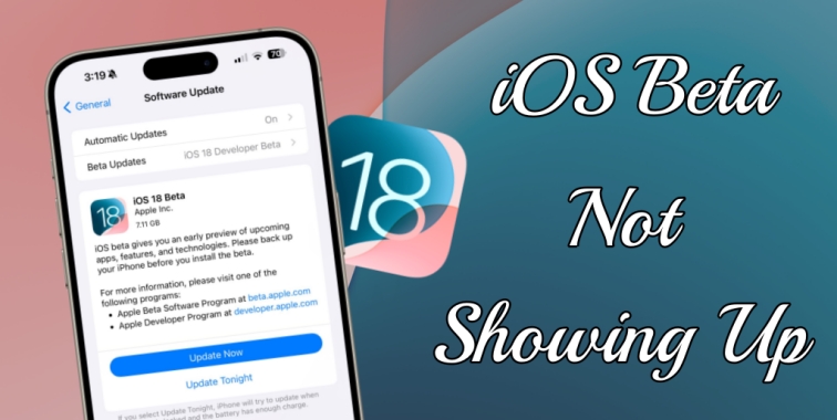 Cómo arreglar iOS 18/17 beta no se muestra [Última guía]
