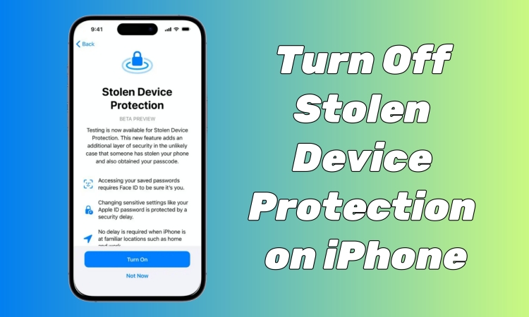 Guía definitiva para la protección del dispositivo robado de iPhone