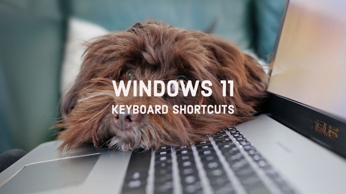 Guíe una lista de atajos de teclado de Windows 11: las mejores selecciones