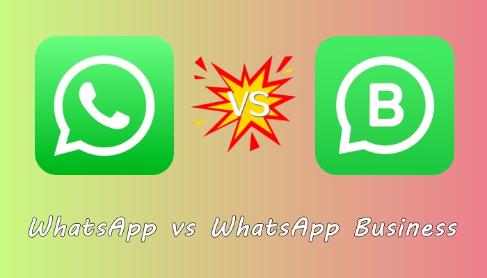 WhatsApp Business vs WhatsApp: ¿Cuál es el adecuado para usted?