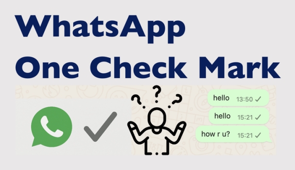 ¿Qué significa una marca de verificación en WhatsApp? Decodificación completa