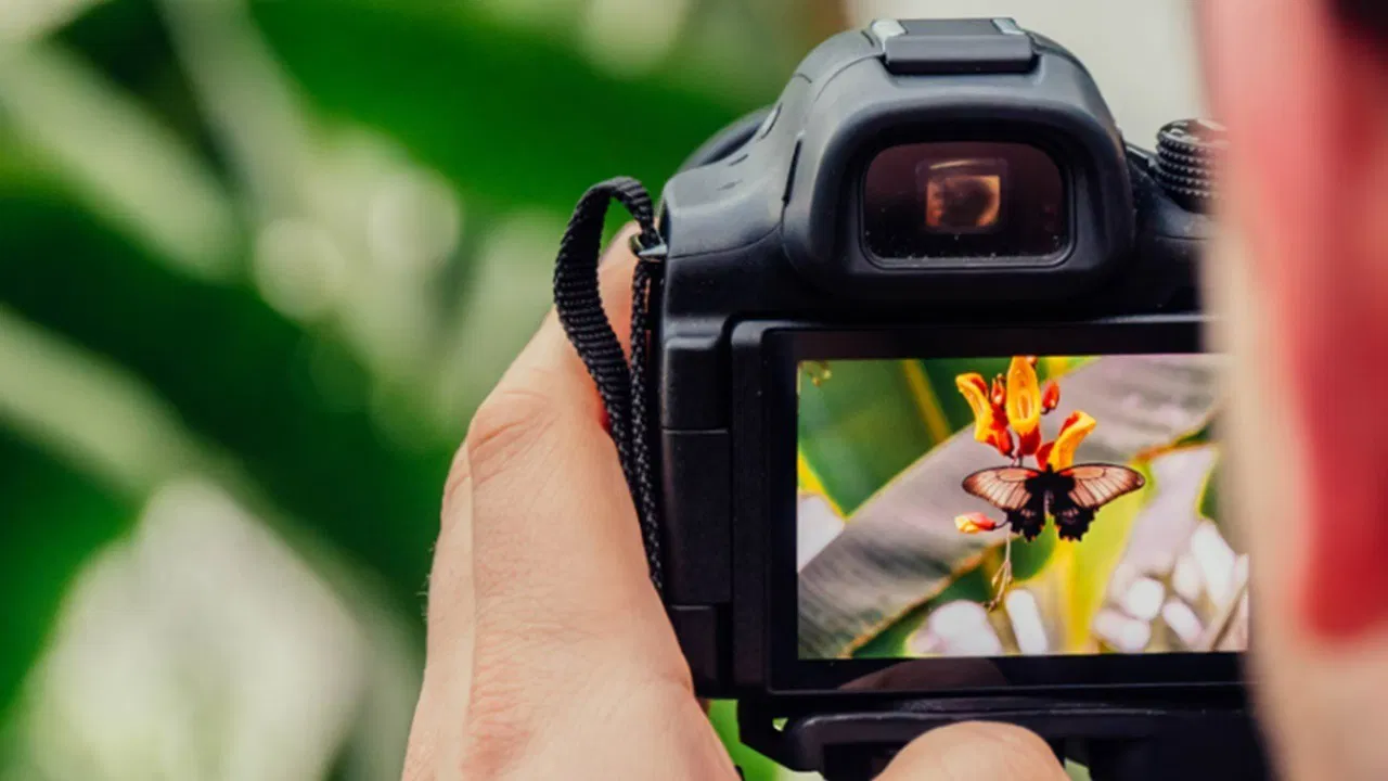 Los mejores lugares para vender fotografías en línea