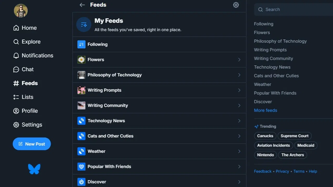 Los mejores consejos para personalizar sus feeds de bluesky
