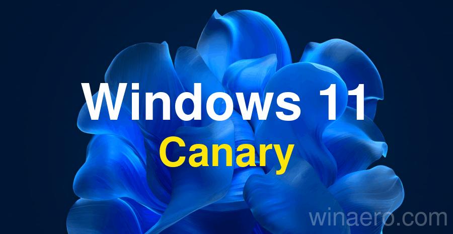 Windows 11 Build 27818 (Canary) elimina las acciones sugeridas