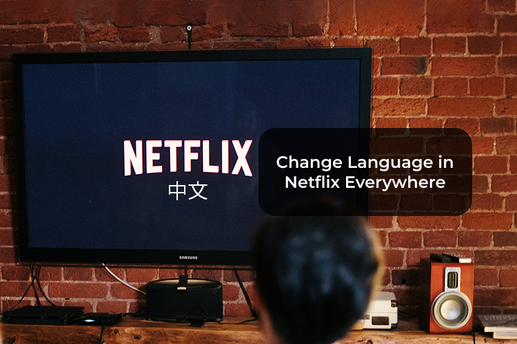 Cómo cambiar el idioma en Netflix en todas partes - Mundo Geek