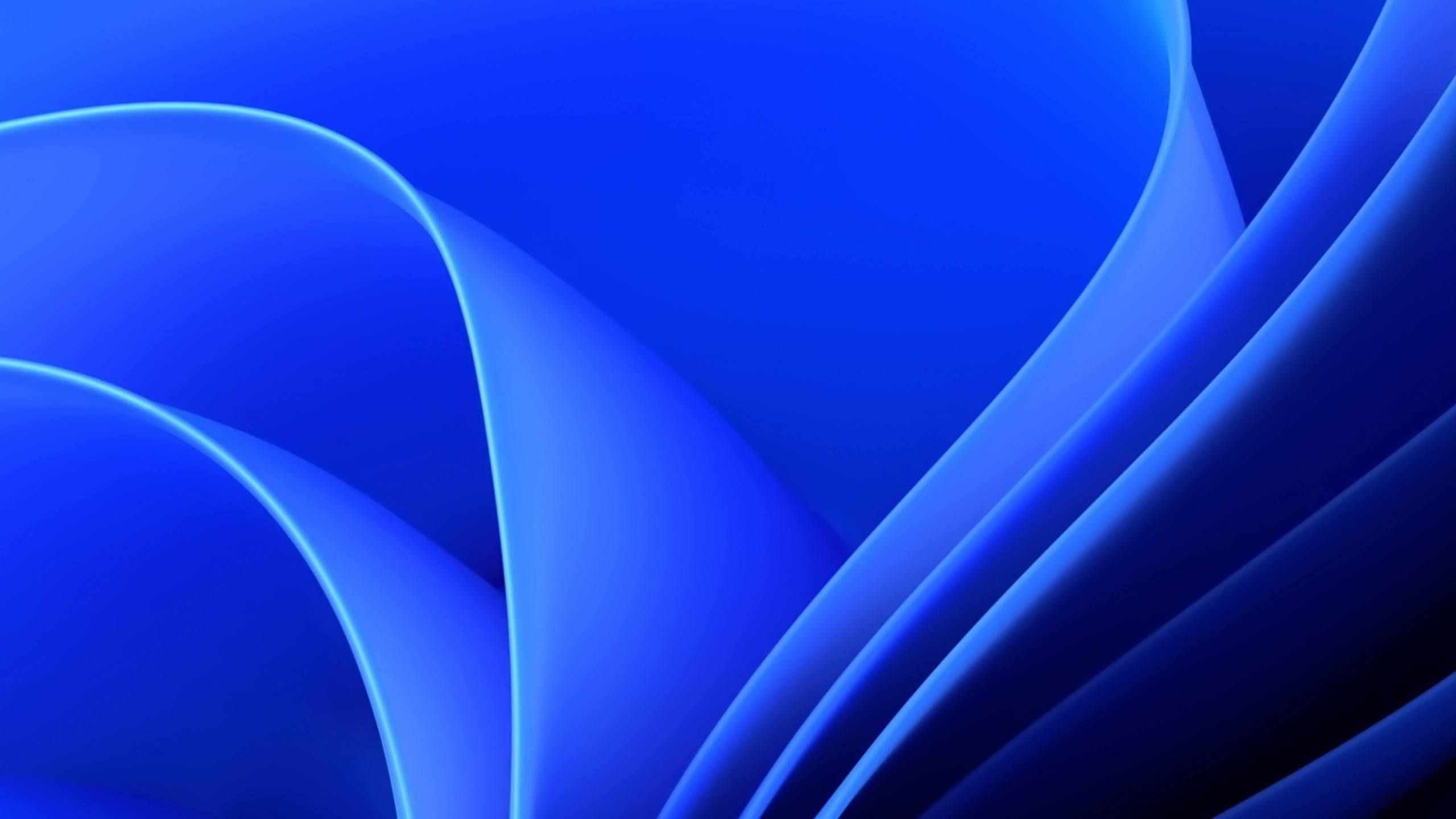 Fondo de color azul de WIndows 11