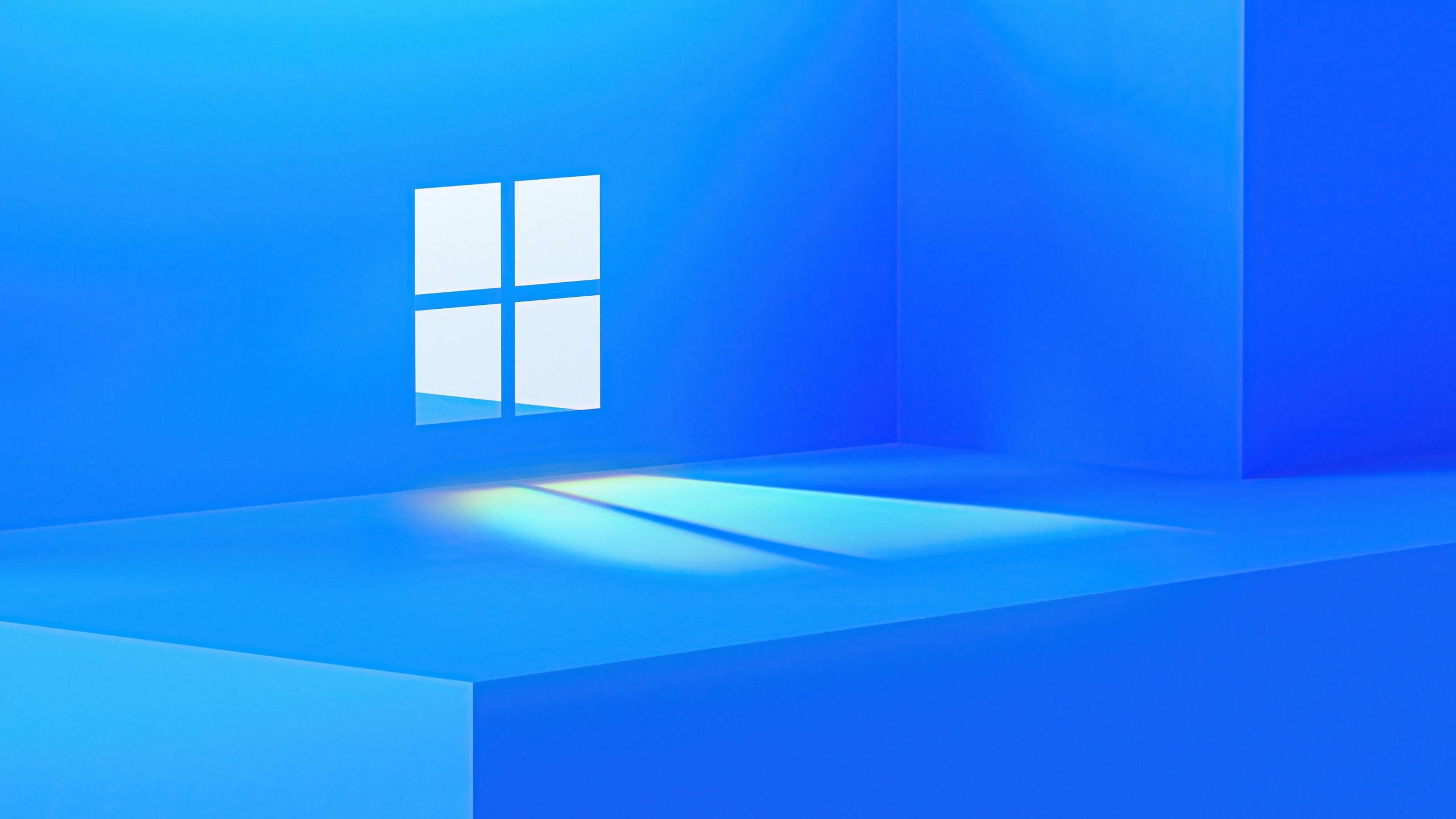 Fondo de la ventana de Windows 11