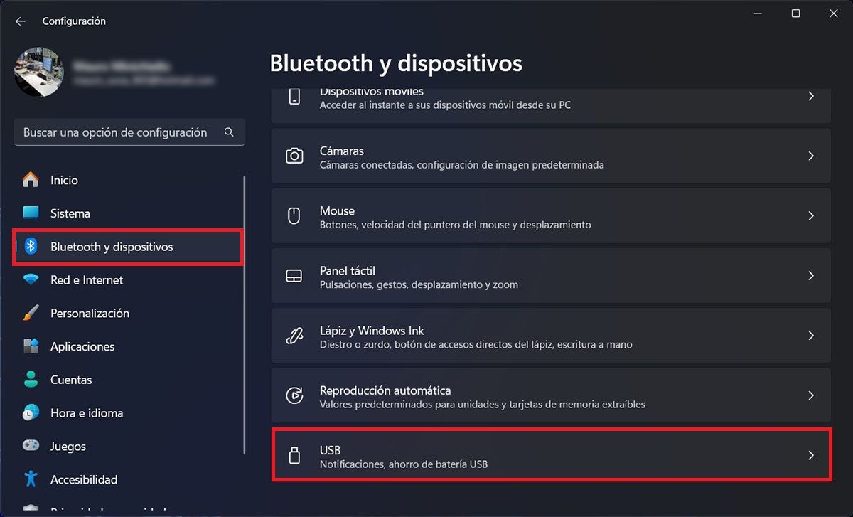 Ver opciones de los puertos USB Windows 11